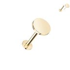 14kt. Geelgouden Push-in Labret met Platte Ronde Top – Set