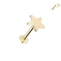 14kt. Geelgouden Push-in Set – Labret met Ster Top – Set