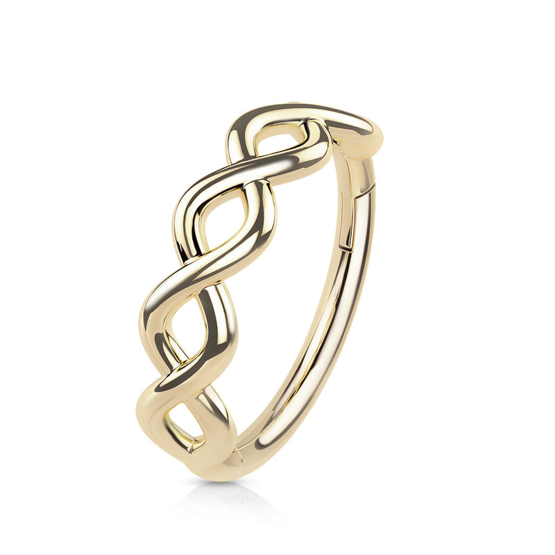 Segment Ringen